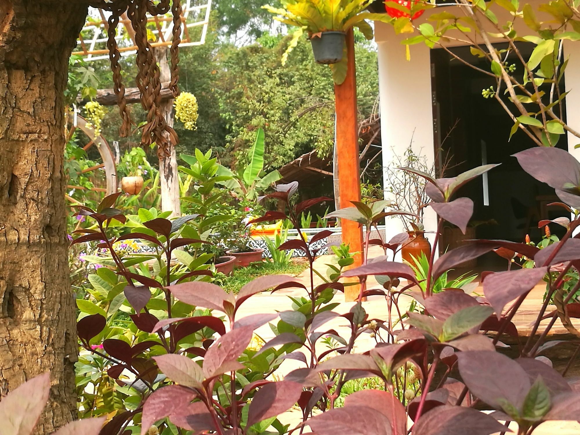 Angkor Dino B&B Siem Reap Extérieur photo